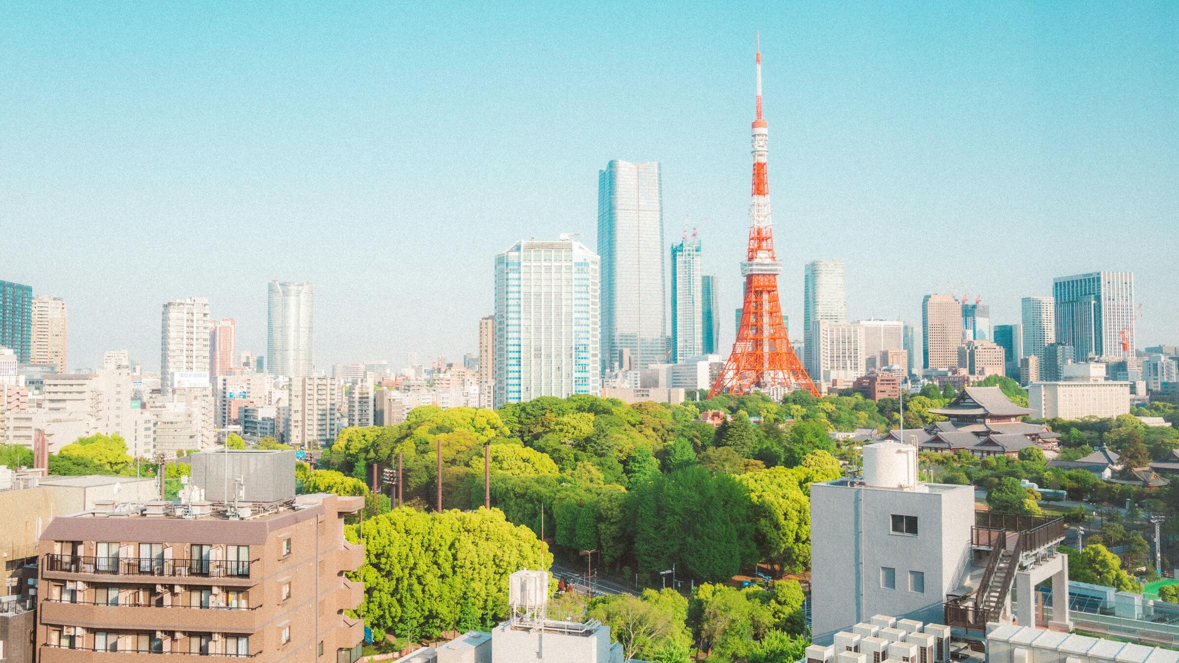 Credit: TERRA / Unsplash