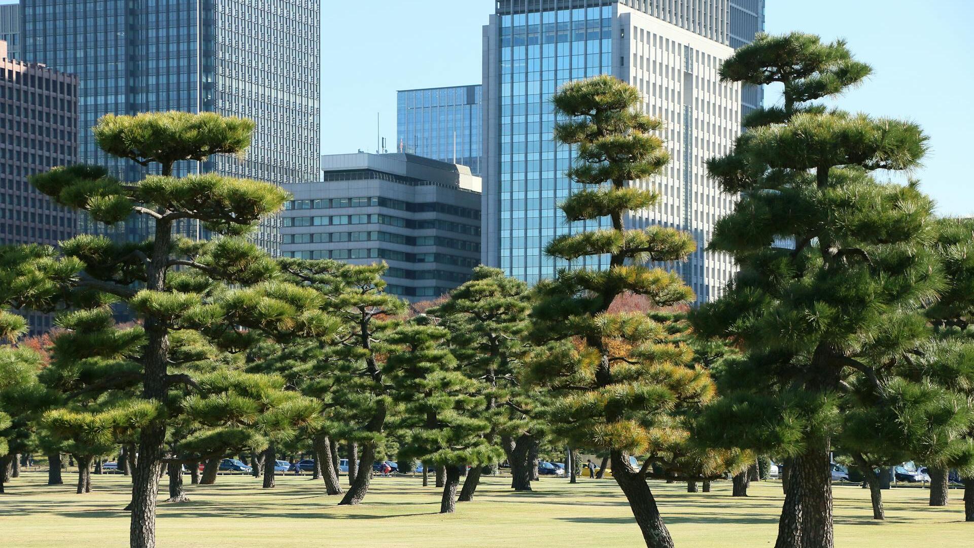 Credit: Crisis Band / Pexels