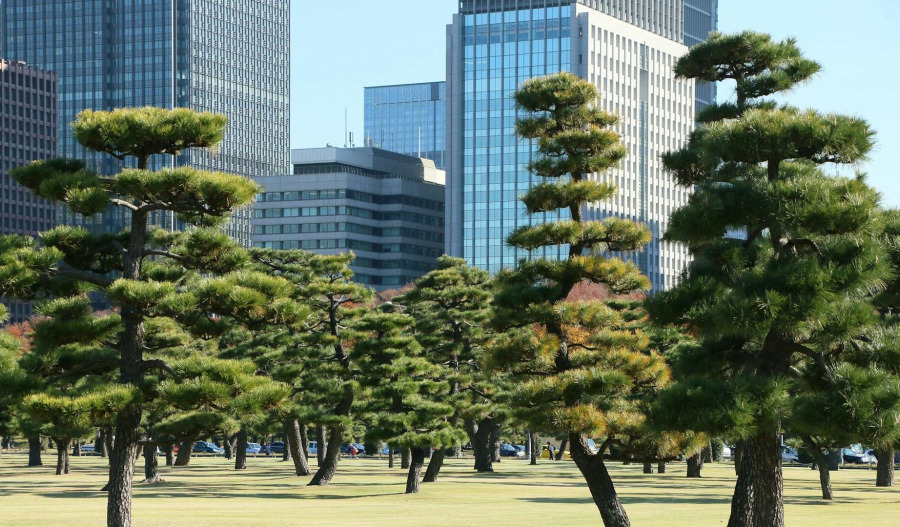 APAC markets hit records despite US wobble