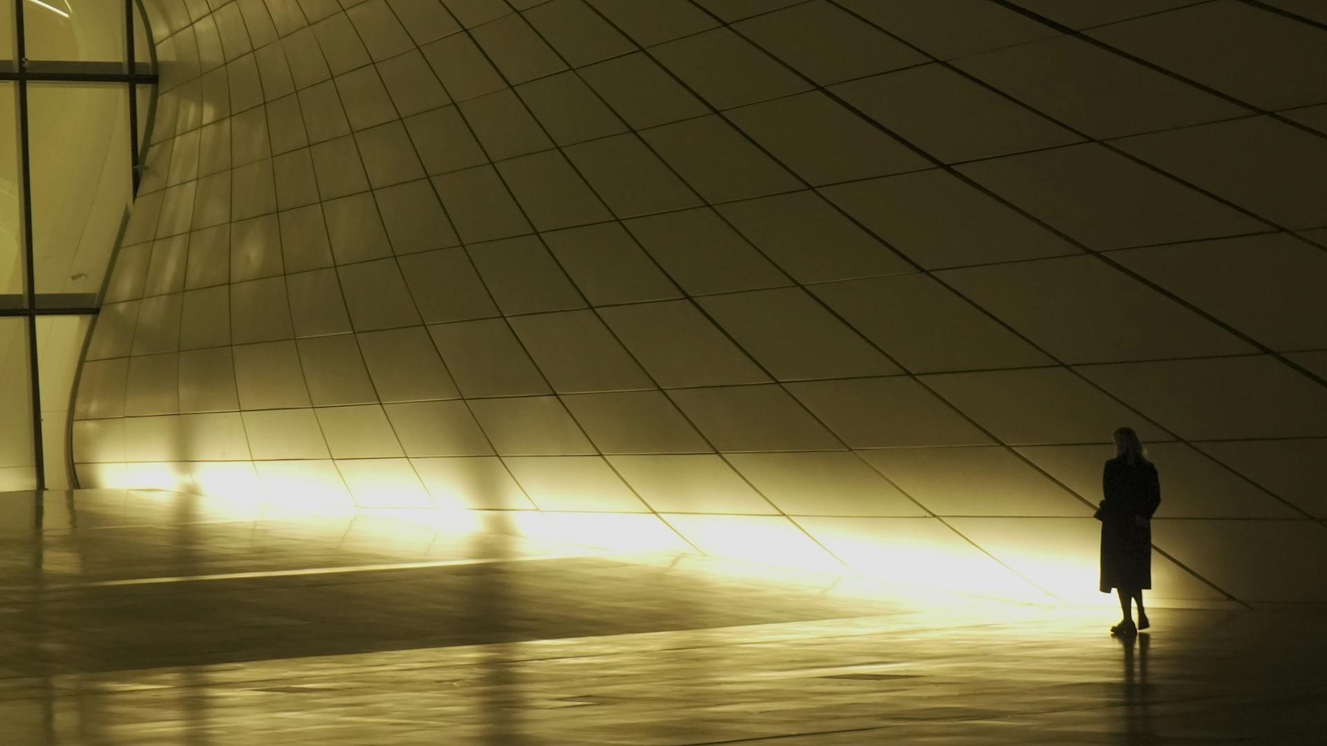 Trading floor: AMP plunges; Peel Mining, ORG rise