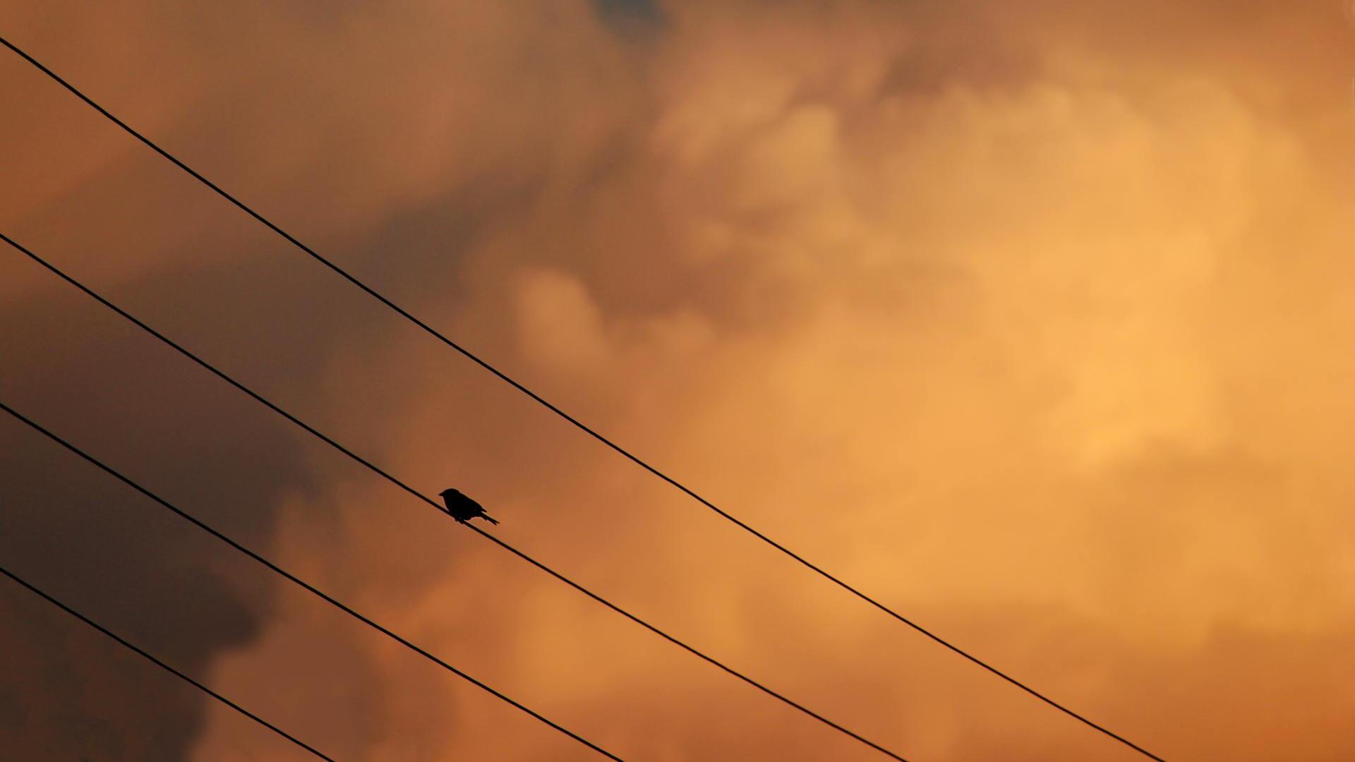 Credit: Kadir Akman / Pexels