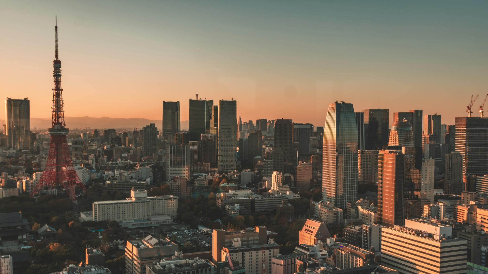 Credit: Ehsan Haque / Pexels