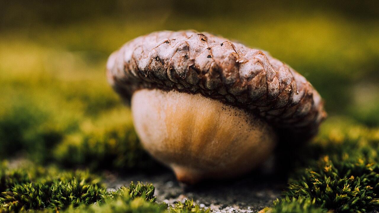 Credit:Aaron Burden / Wikimedia Commons