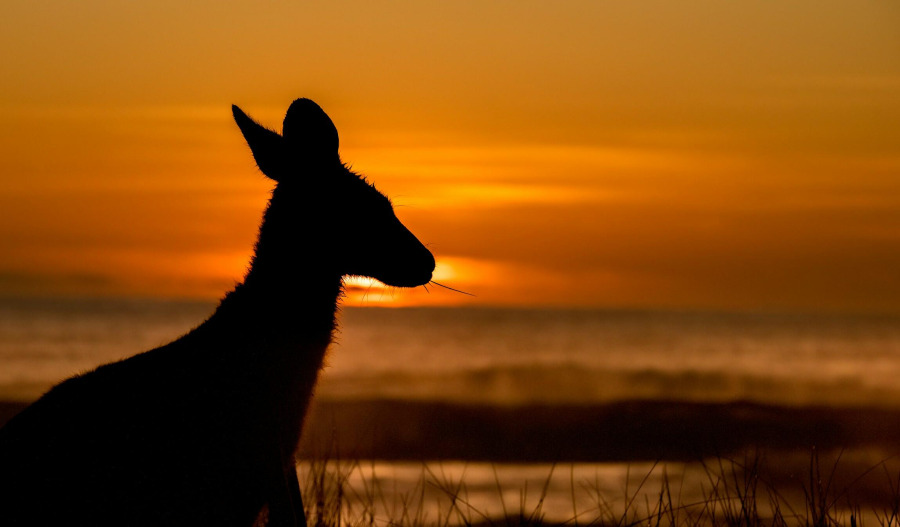 Markets: ASX 200 falls 1.4% but logs weekly gain