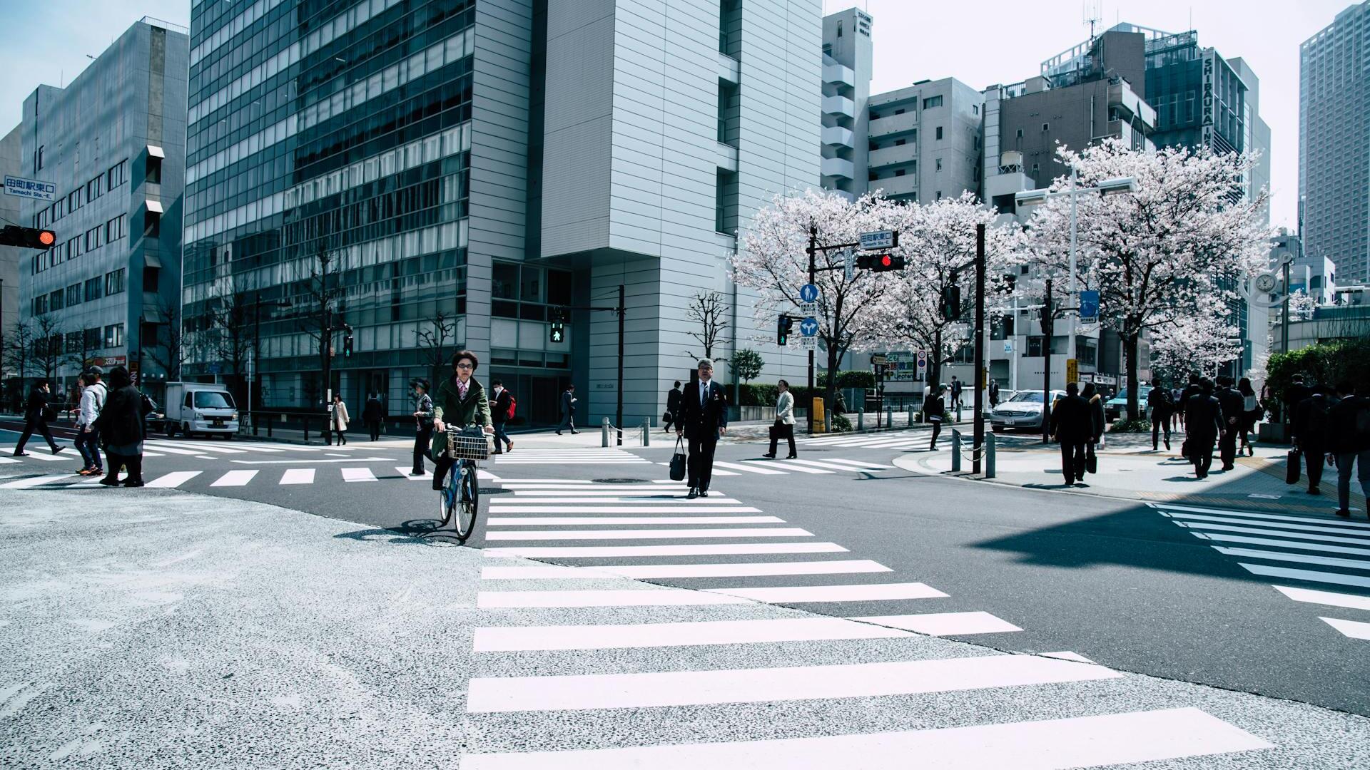 Credit: Abby Chung / Pexels