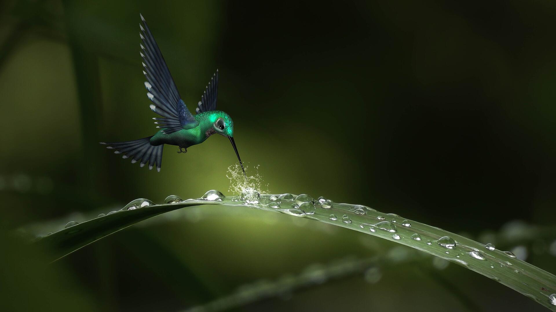 Credit: Willgard / Pixabay