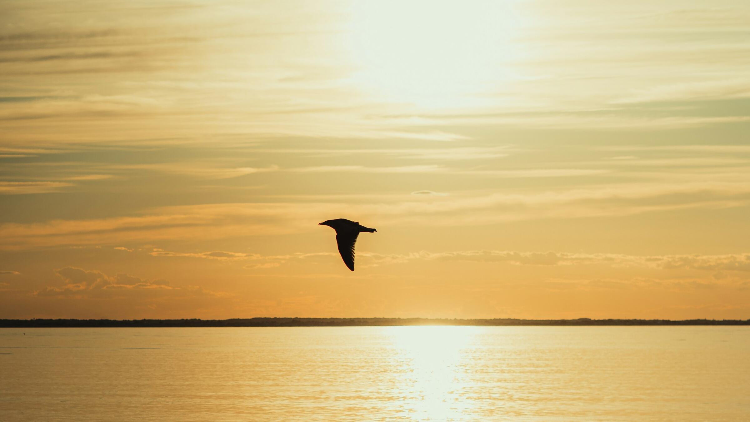 Gold rebounds toward US$5,000; Fed minutes in focus