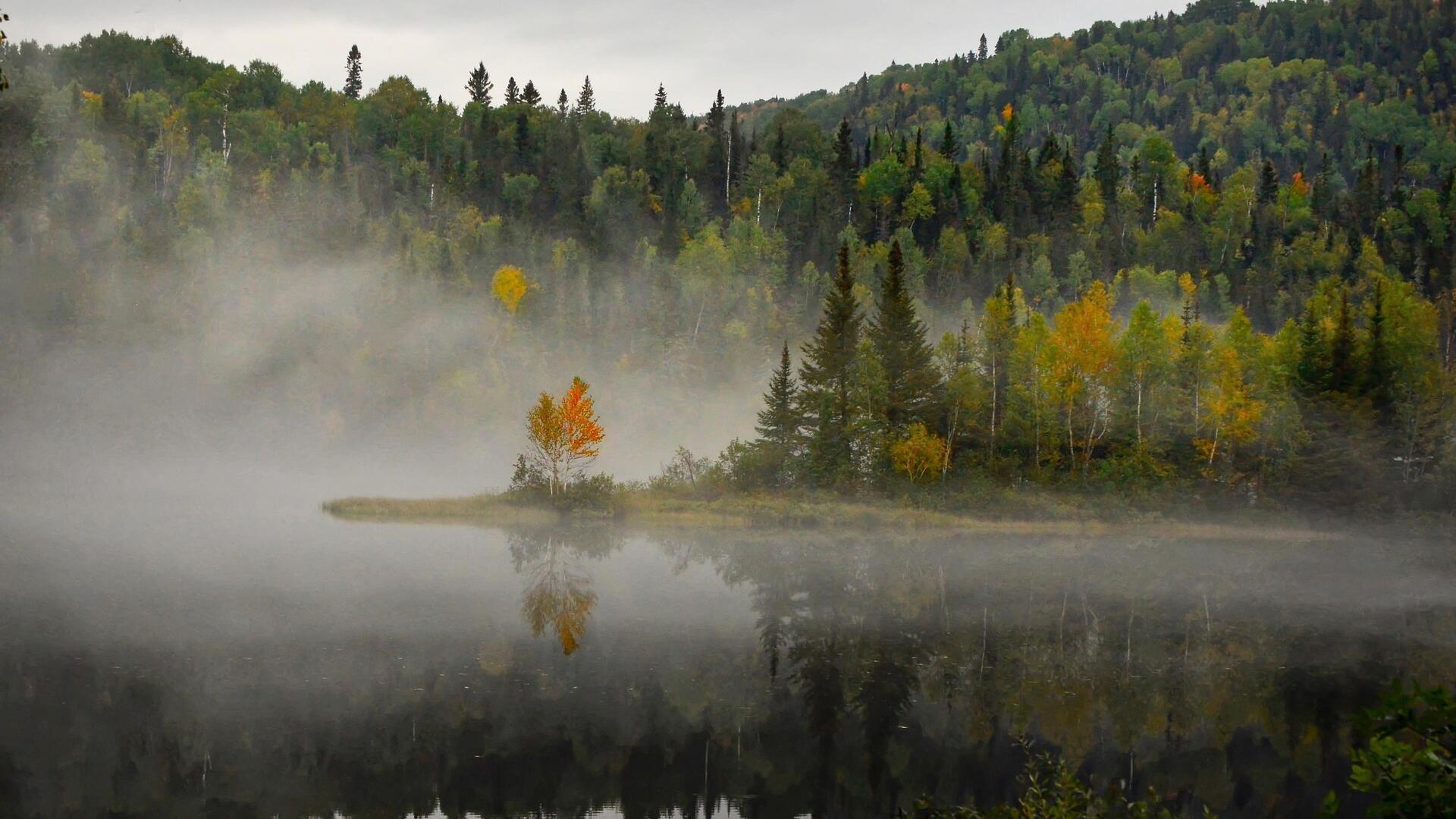 Credit: AlainAudet / Pixabay