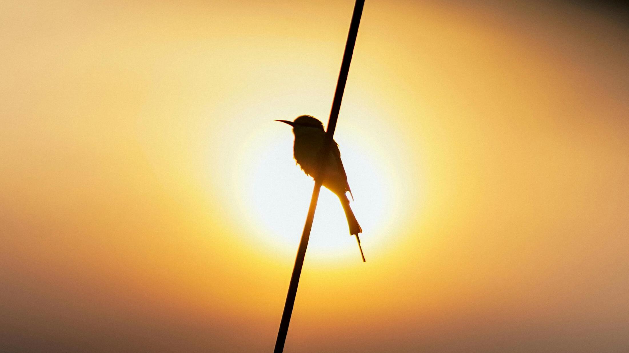 Gold prices steady ahead of US GDP, PCE data