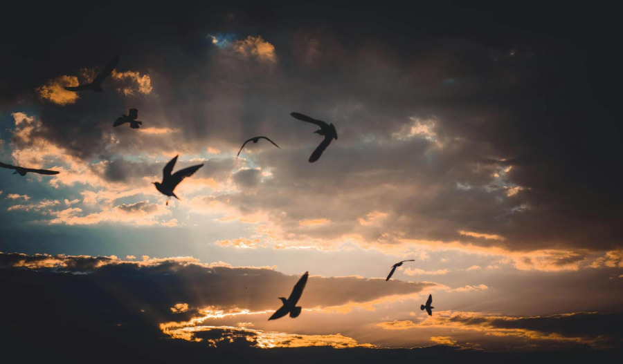 Gold reclaims US$5,000 level amid tariff uncertainties