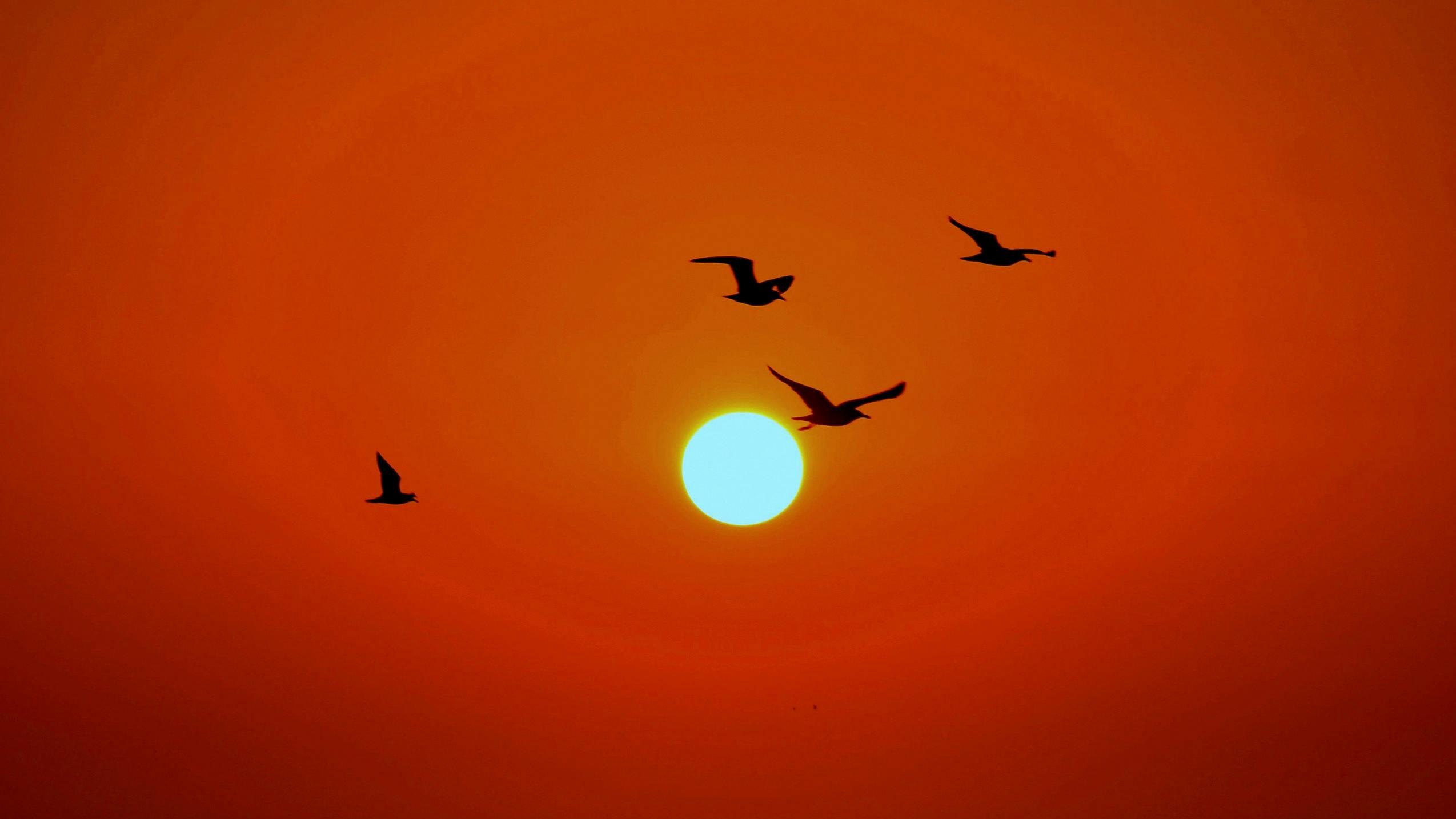 Gold slips 1% but defends key US$5,000 support