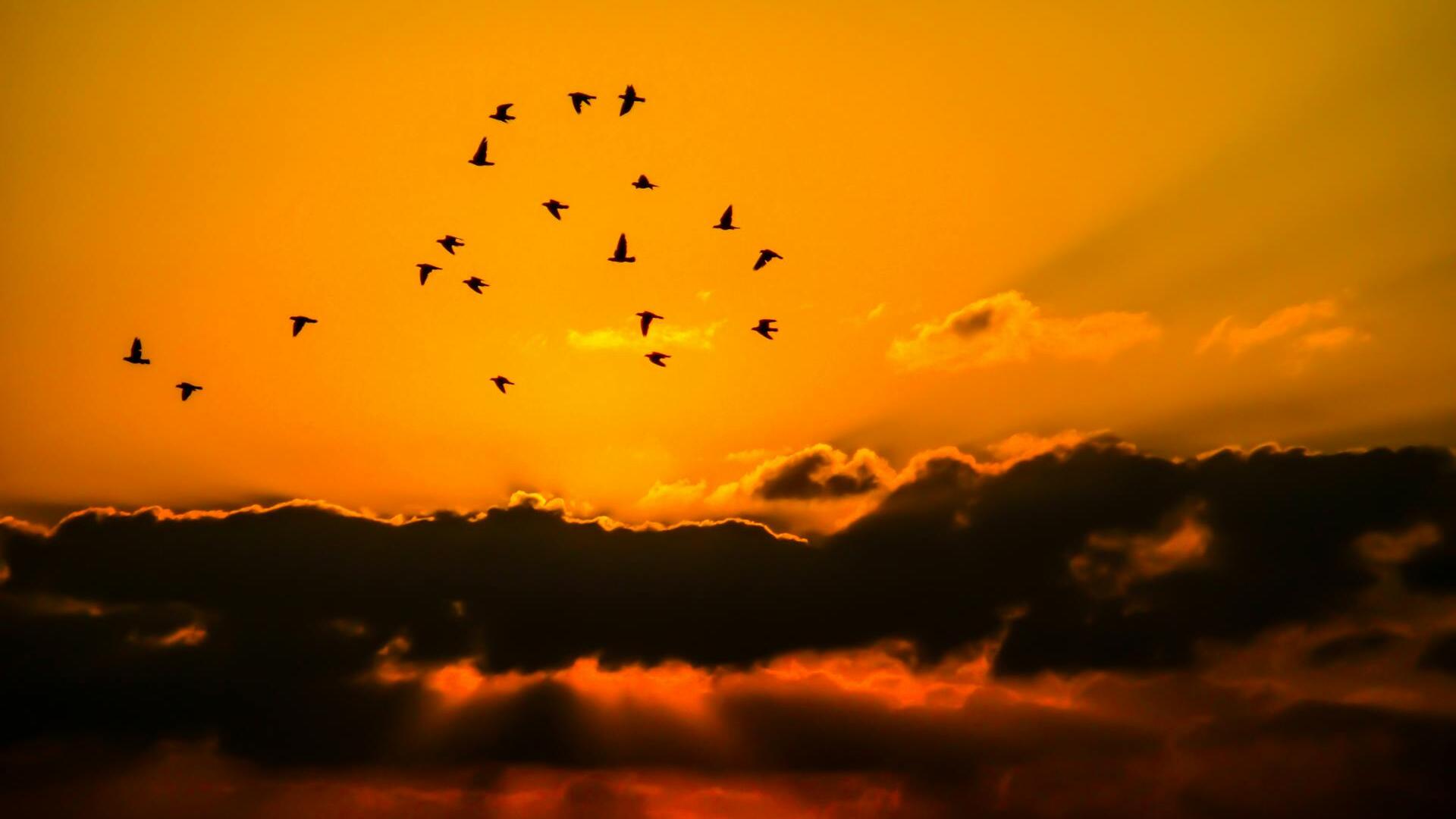 Markets: Gold ticks up amid geopolitical tensions