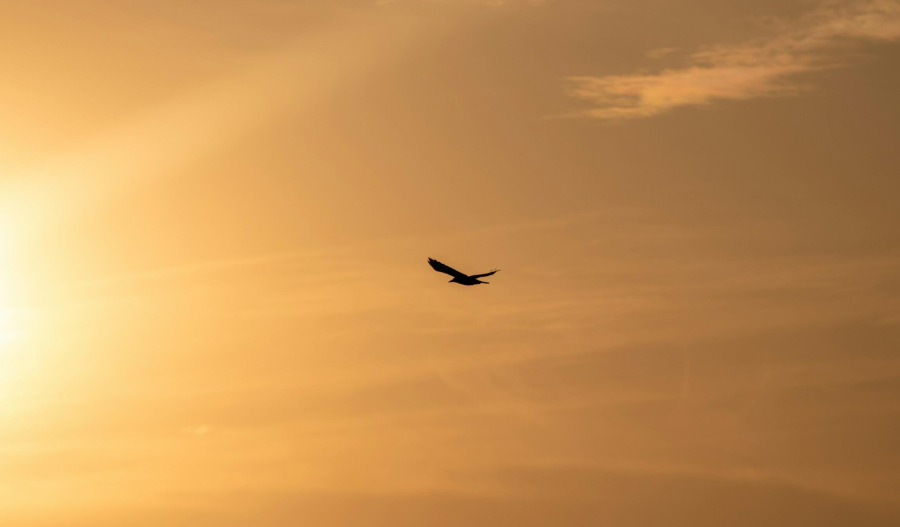 Gold challenges US$5,200 level; US-Iran talks in focus