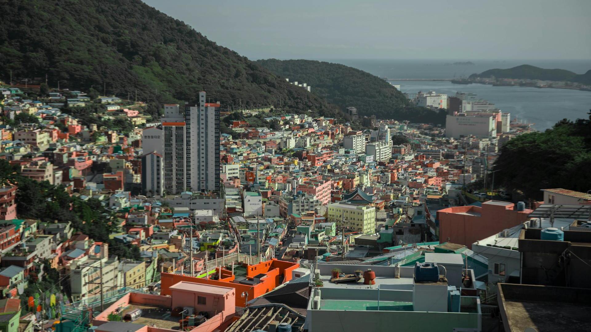 Credit: Viridiana Rivera / Pexels