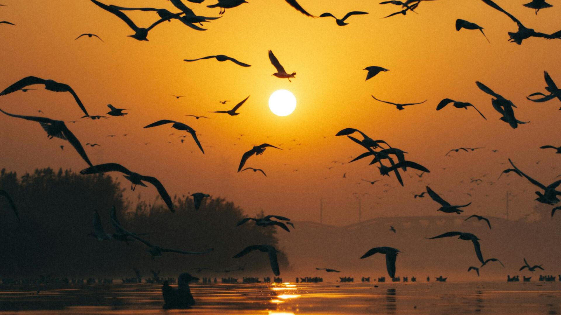 Gold slips as oil shock lifts US dollar