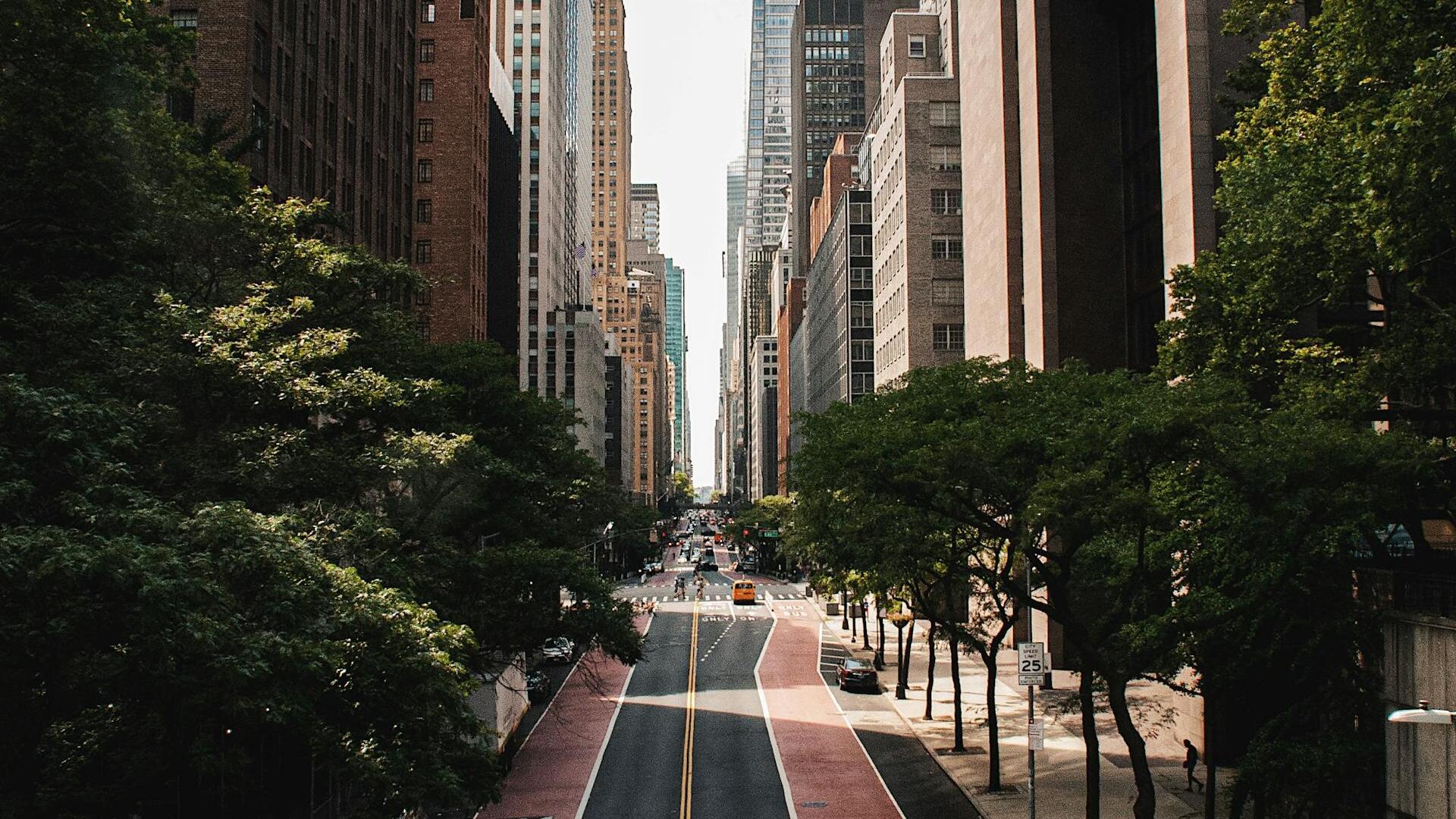 Credit: Aubin Kirch / Pexels