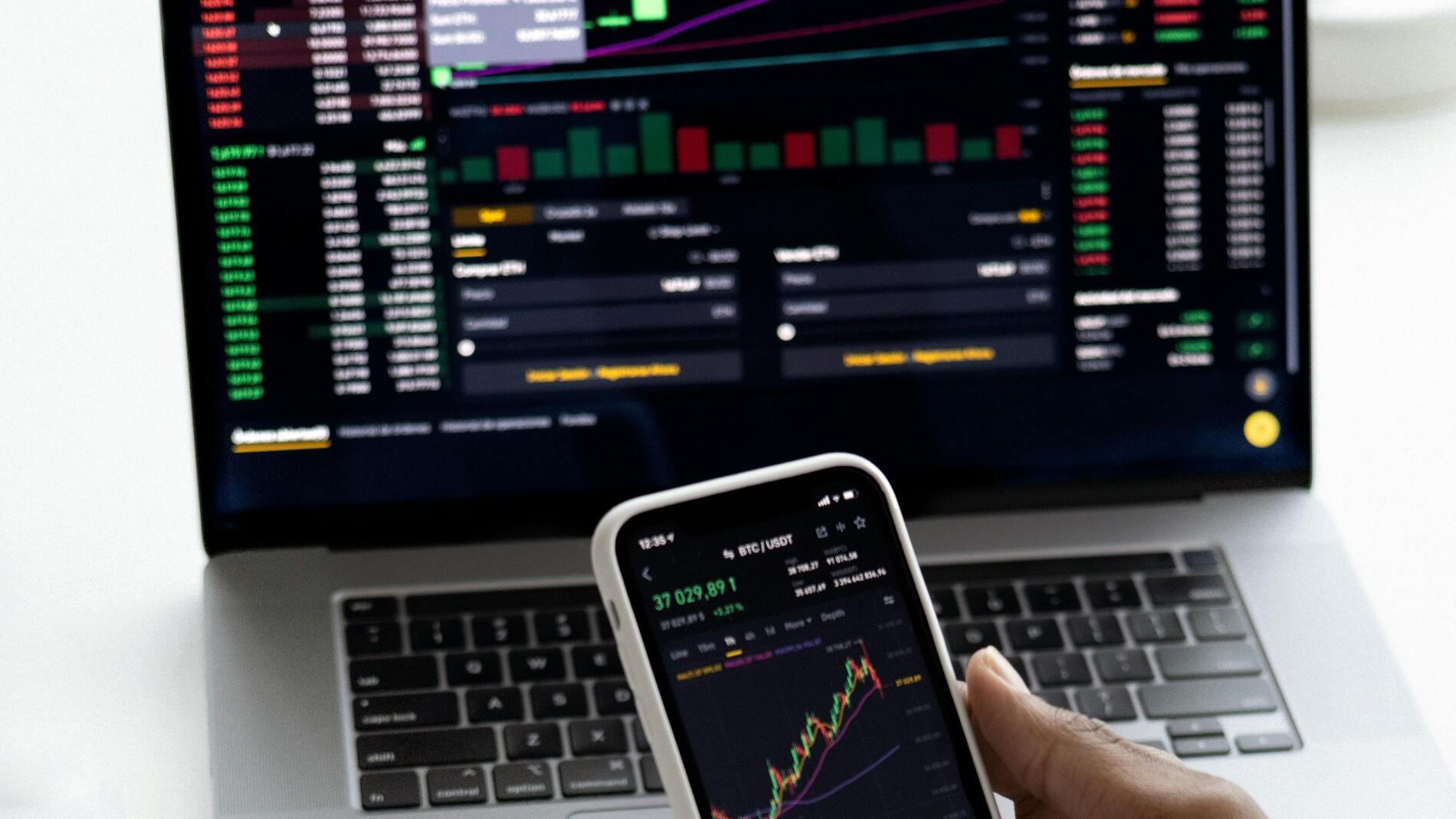 Credit: Hanna Pad / Pexels