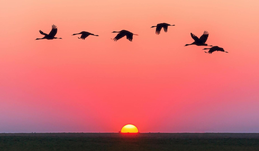 Gold up from 6wk low as war boosts safe-haven demand