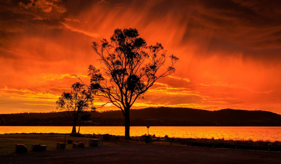 ASX hits 4mth low; oil surge lifts Energy sector