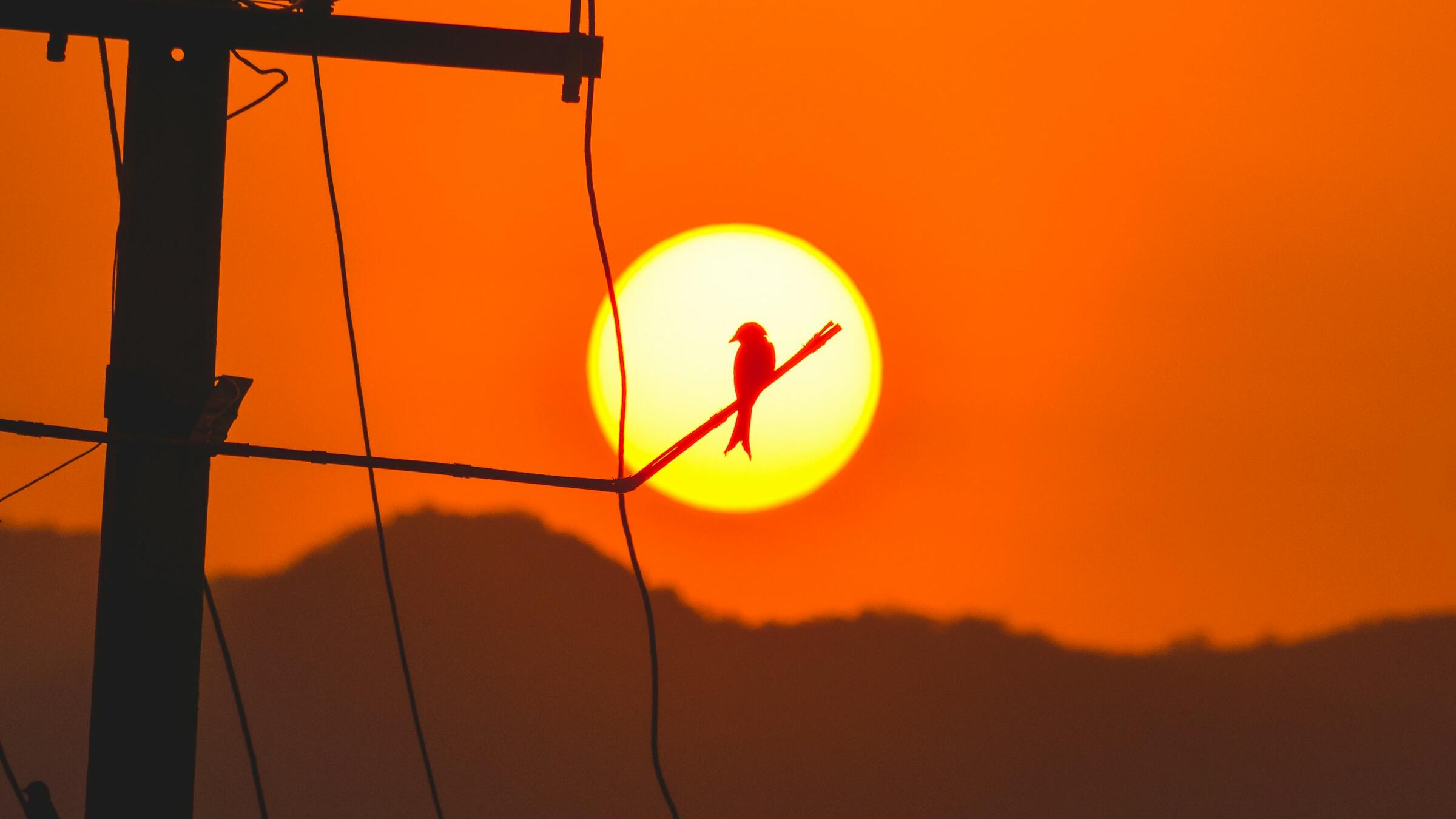 Gold hits 2mth lows as war supports US dollar