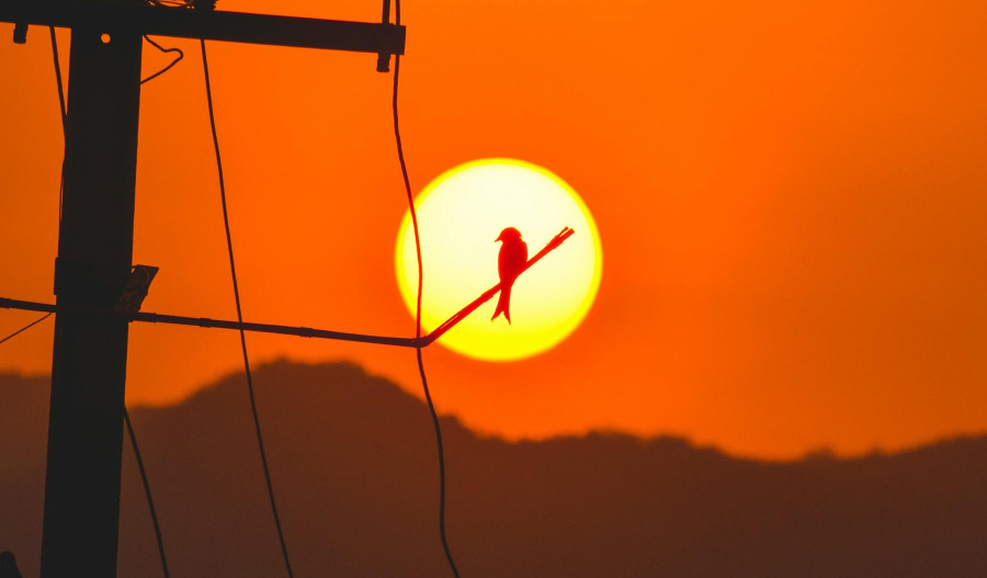 Gold hits 2mth lows as war supports US dollar