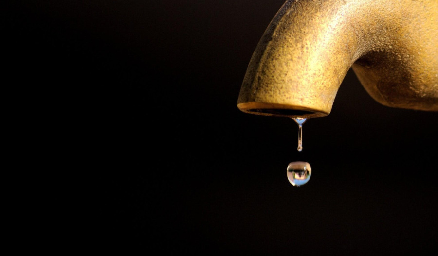 Trading floor: 4DX, Greenwing up; AEL tanks