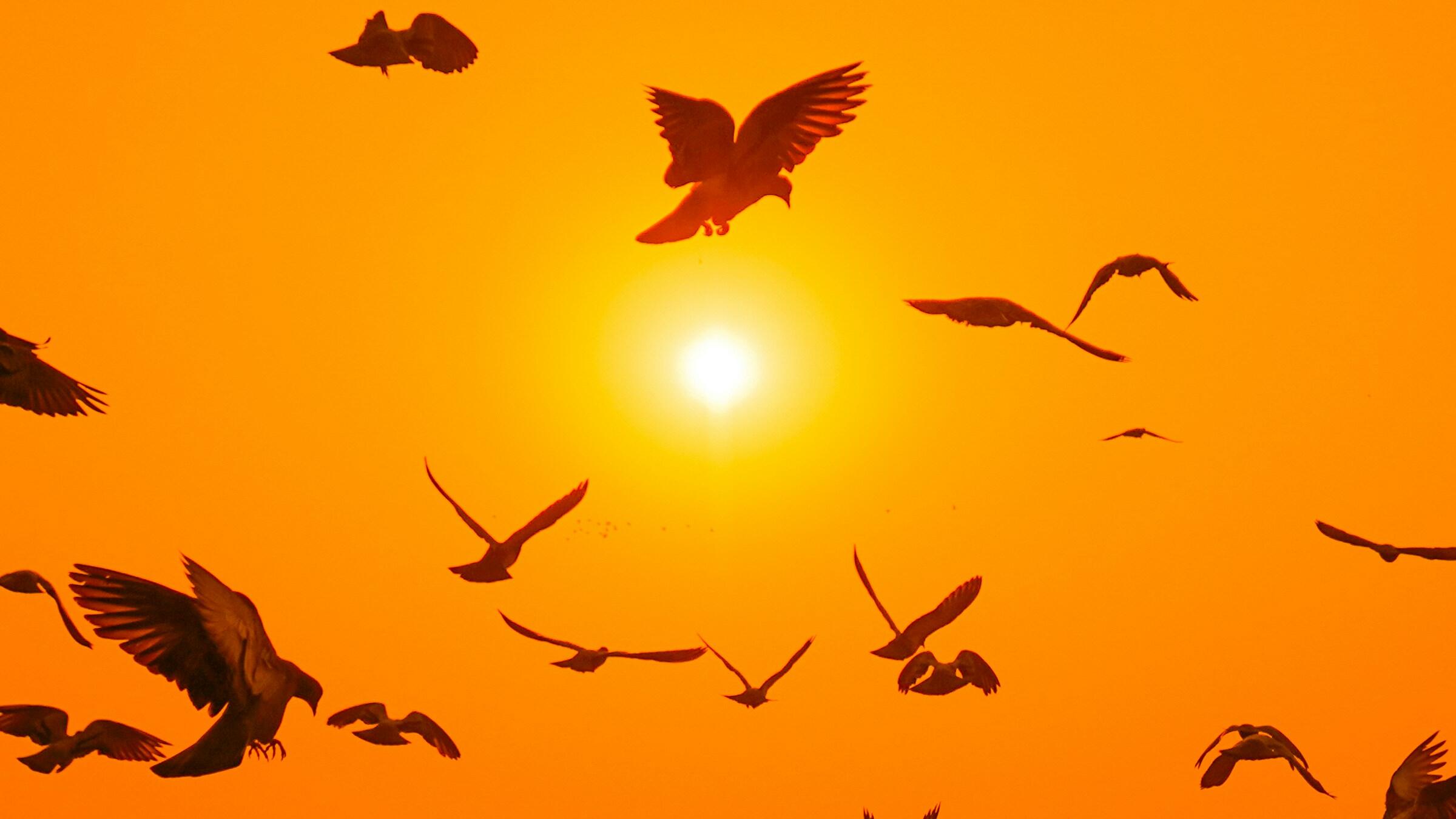 Gold pushes higher but set for worst month in over 17yrs