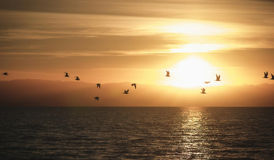 Gold jumps 2.4% as ceasefire weighs on DXY