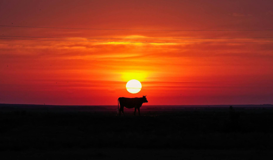 Trading floor: Monash IVF, CUE lift; A2 Milk tanks