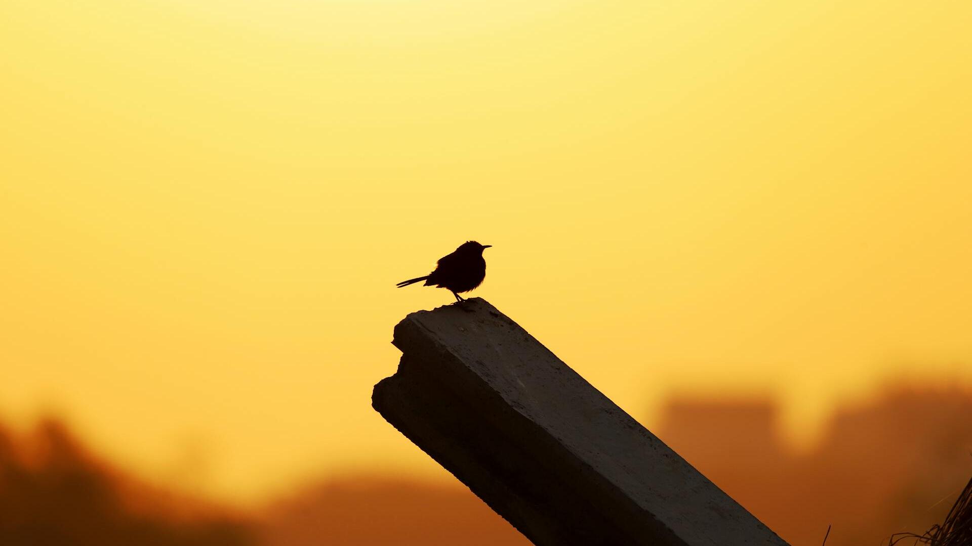 Gold ticks up on US-Iran diplomacy hopes