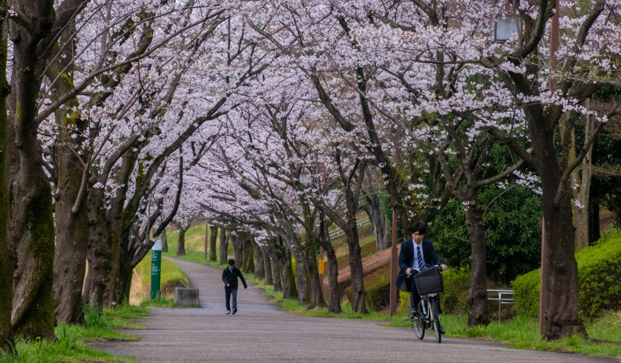 APAC stocks rise alongside Iran deal hopes