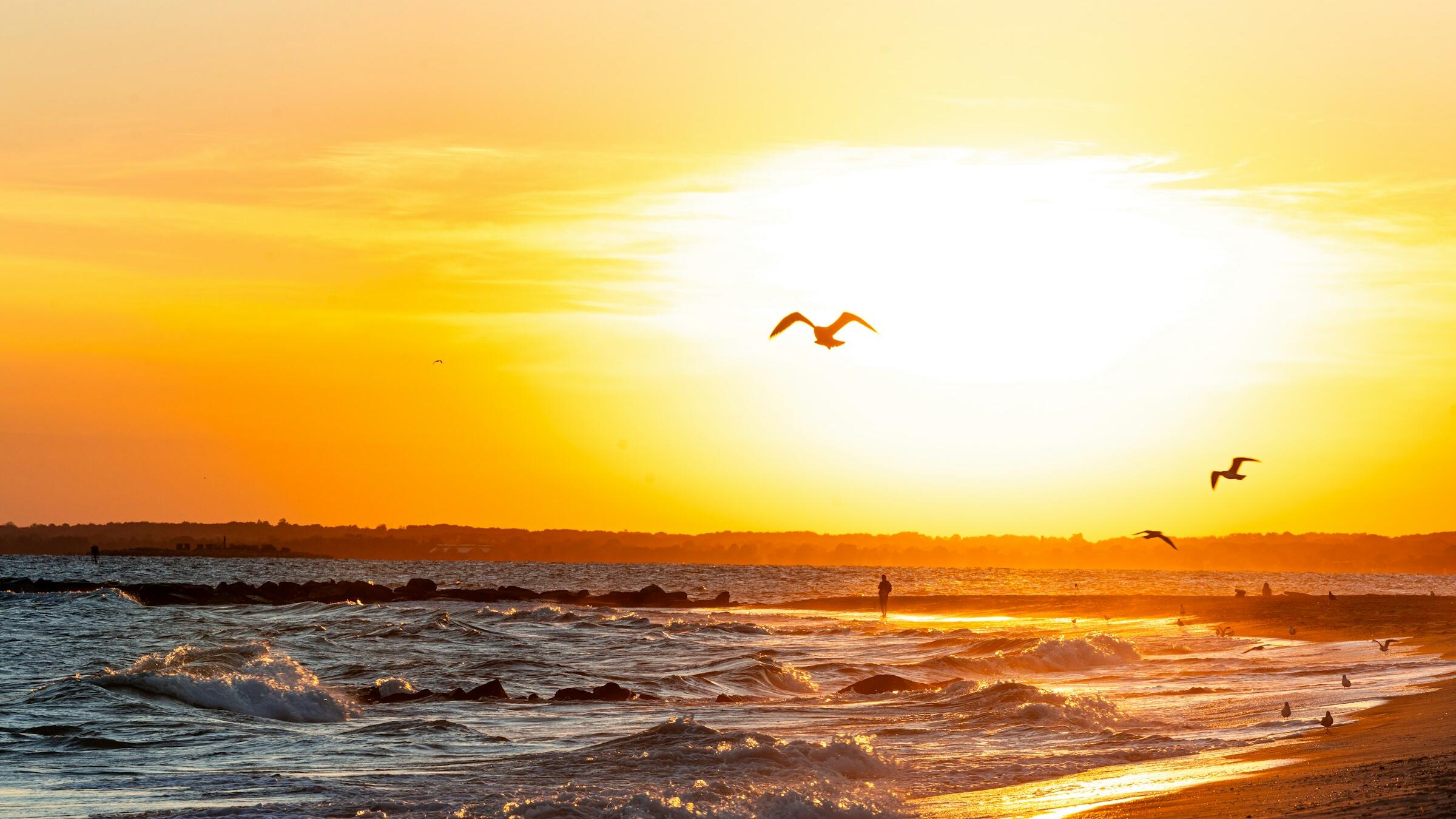 Gold rises amid weaker US dollar, M.East hopes