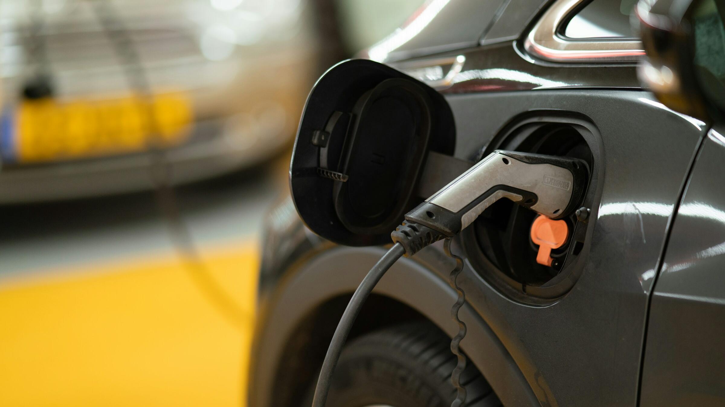 Credit: Michael Fousert / Unsplash