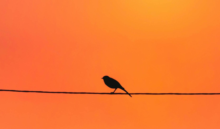 Gold steady near US$4,700; focus turns toward Fed