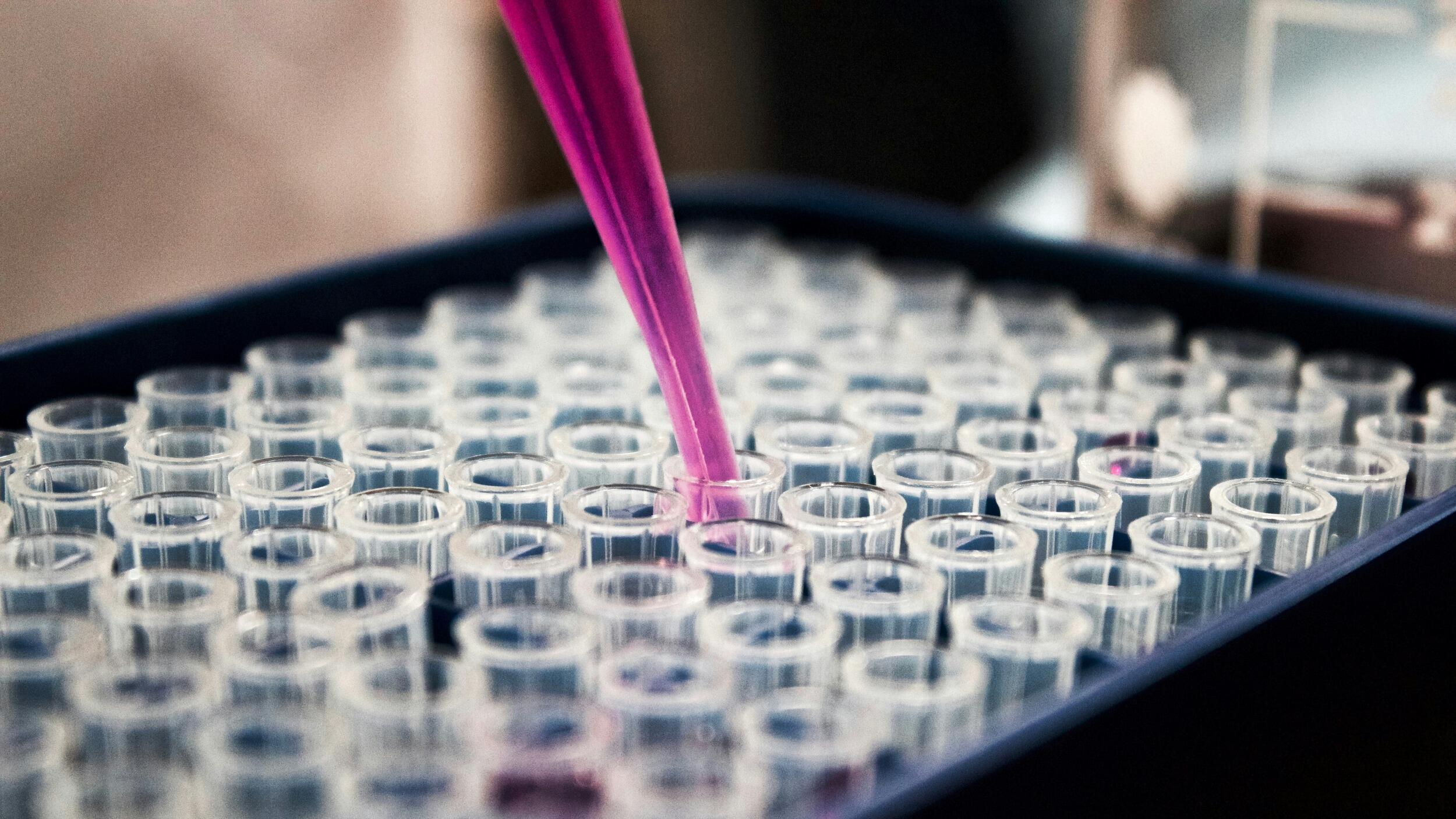 Crinetics stock doubles as Vertex buys it for US$10bn