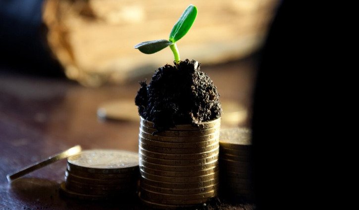 The power of dividends: Building an income portfolio
