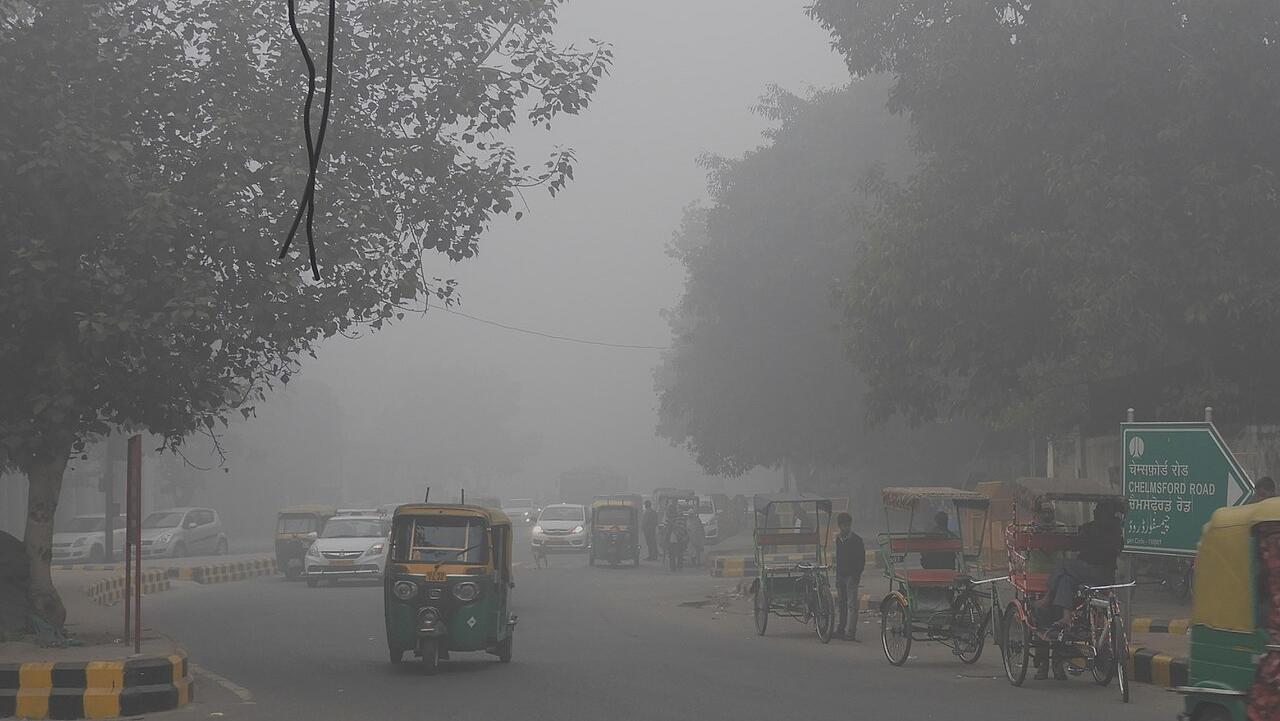 Credit: Sumita Roy Dutta / Wikimedia