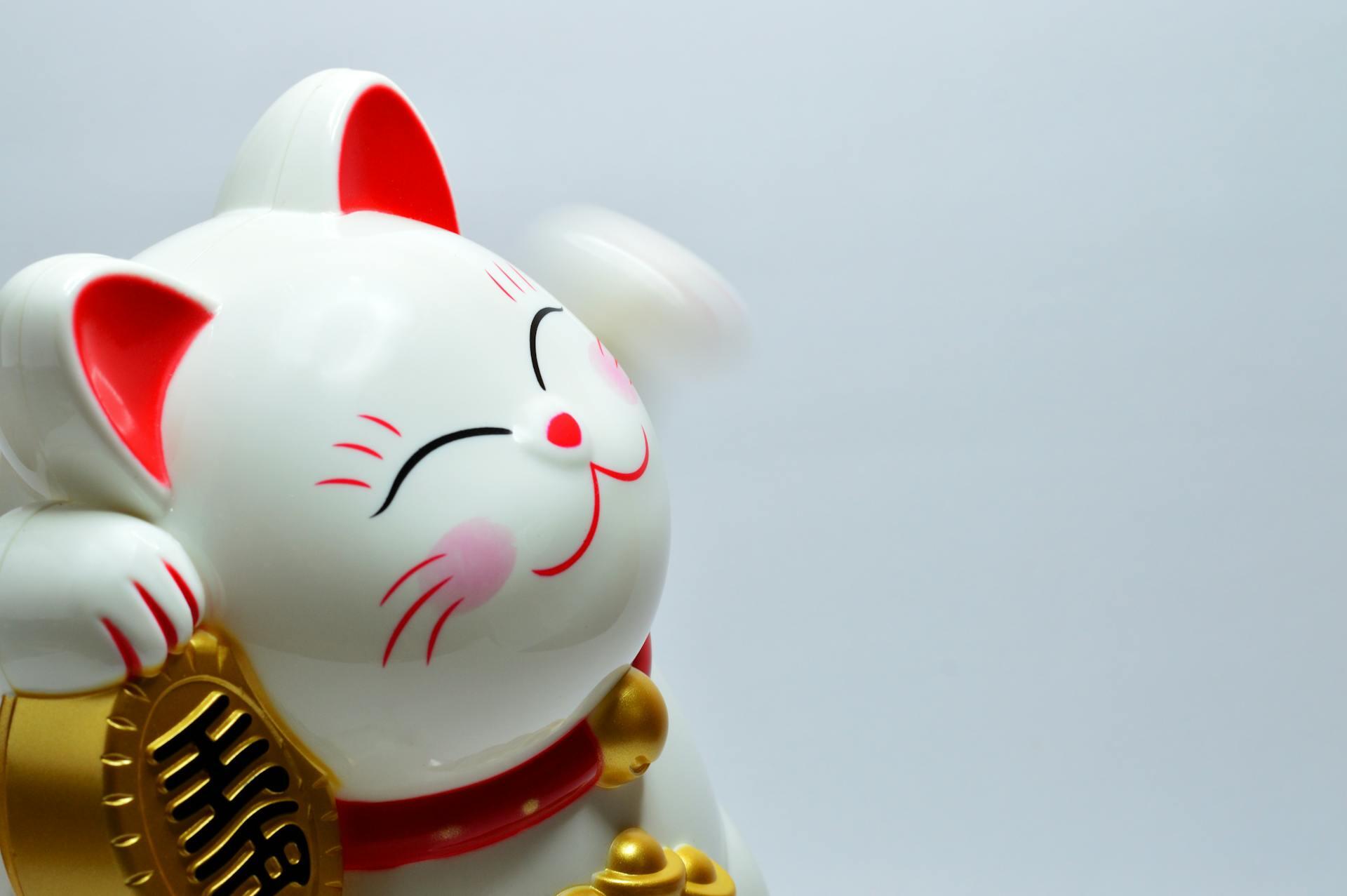 Fortune cat
