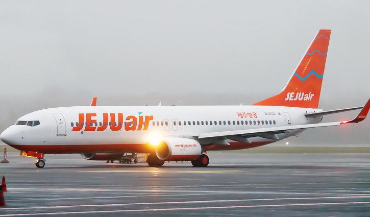 Bird strike a possible cause of South Korea air crash
