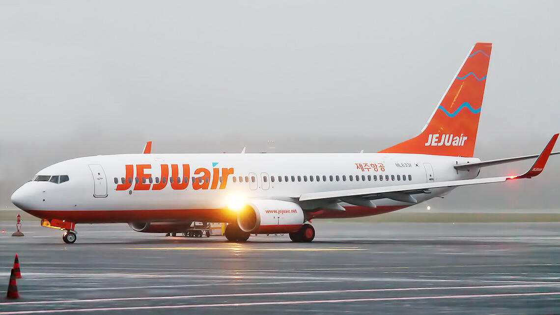 Bird strike a possible cause of South Korea air crash