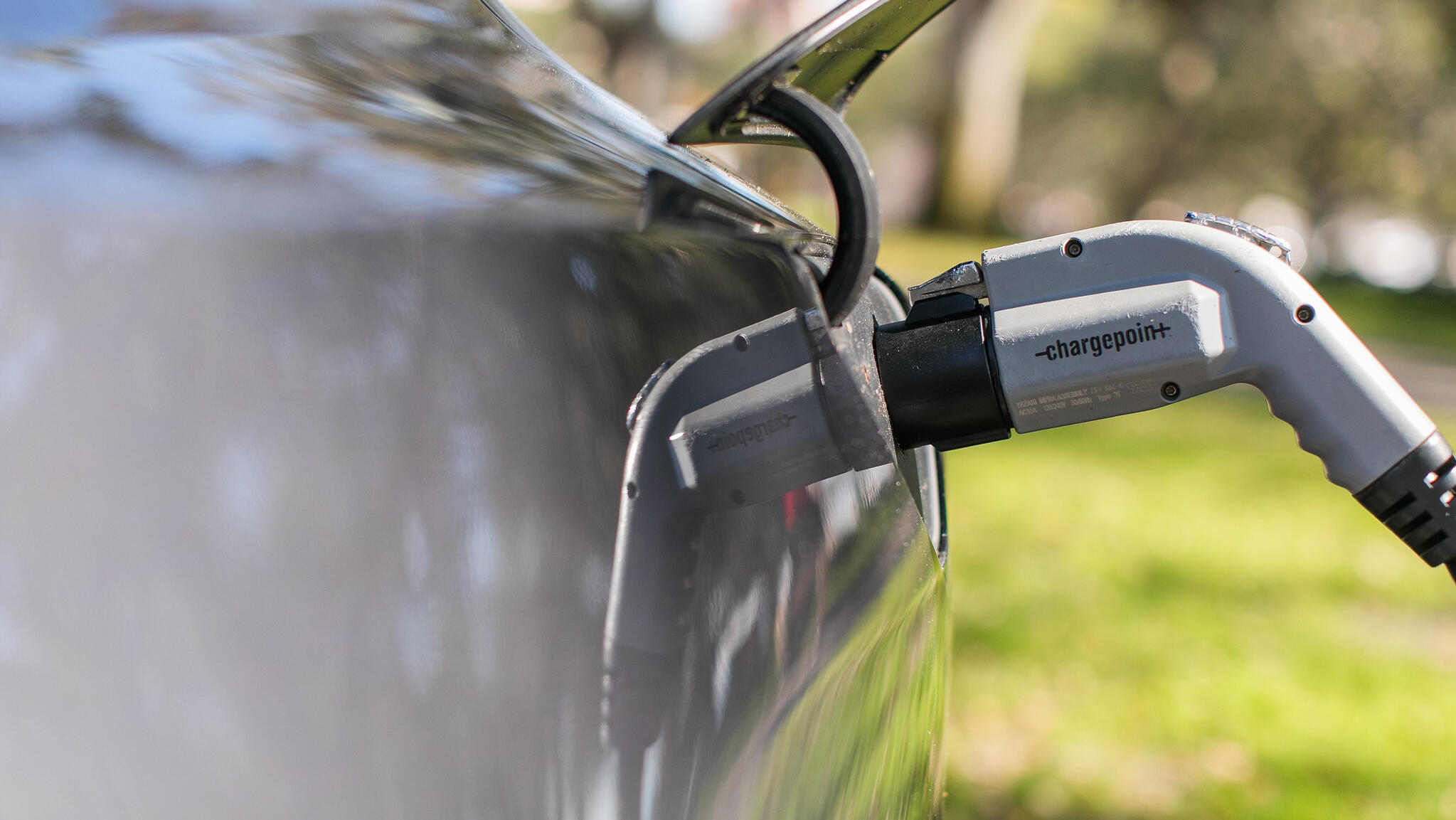 EV sales rise in December, fall in 2024