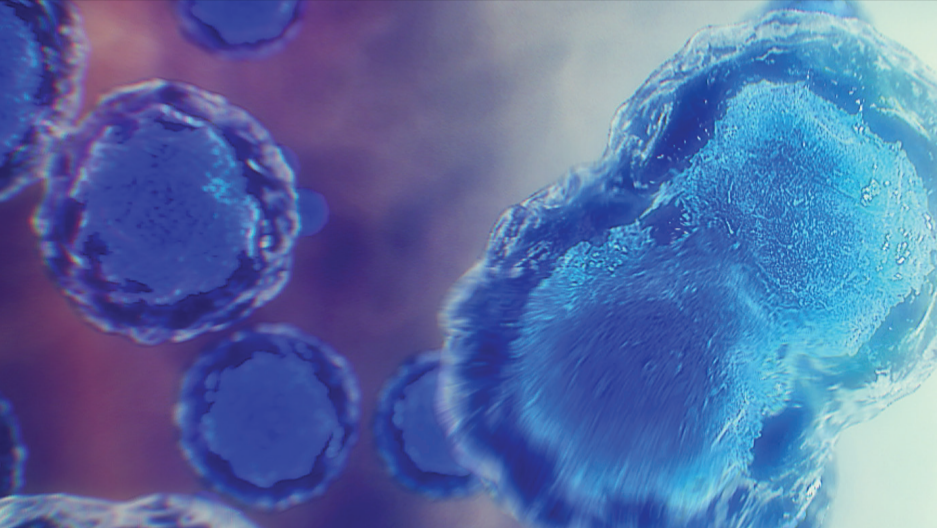 Mesoblast in tenbagger zone: Product pipeline grows