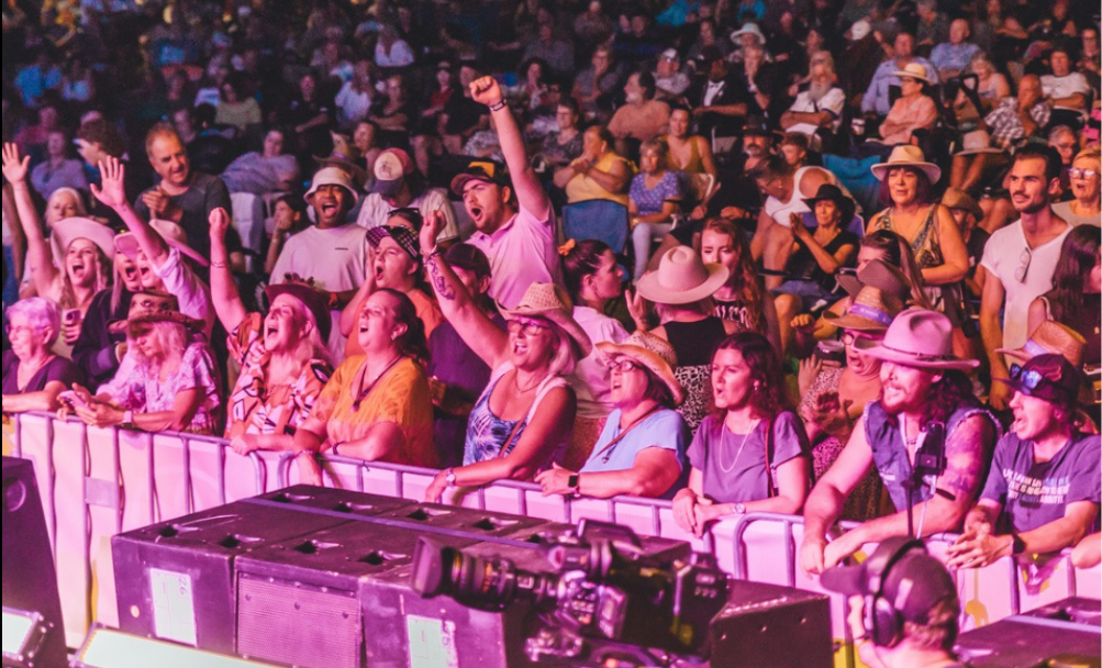 cheering crowd at a concert 