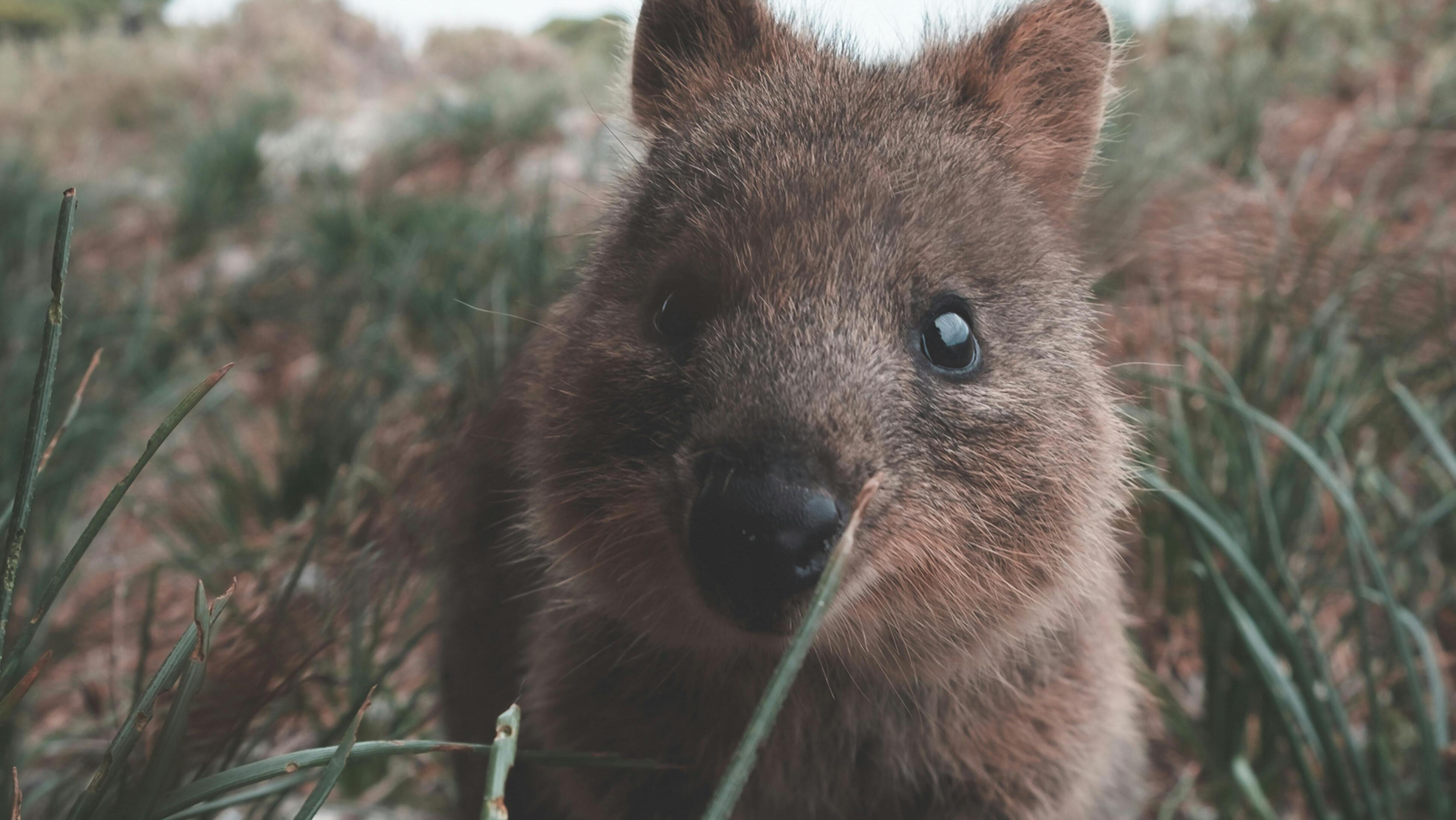WA named on BBC's top places to travel in 2025 list