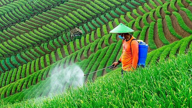 Nufarm sees full cost savings being achieved in FY26