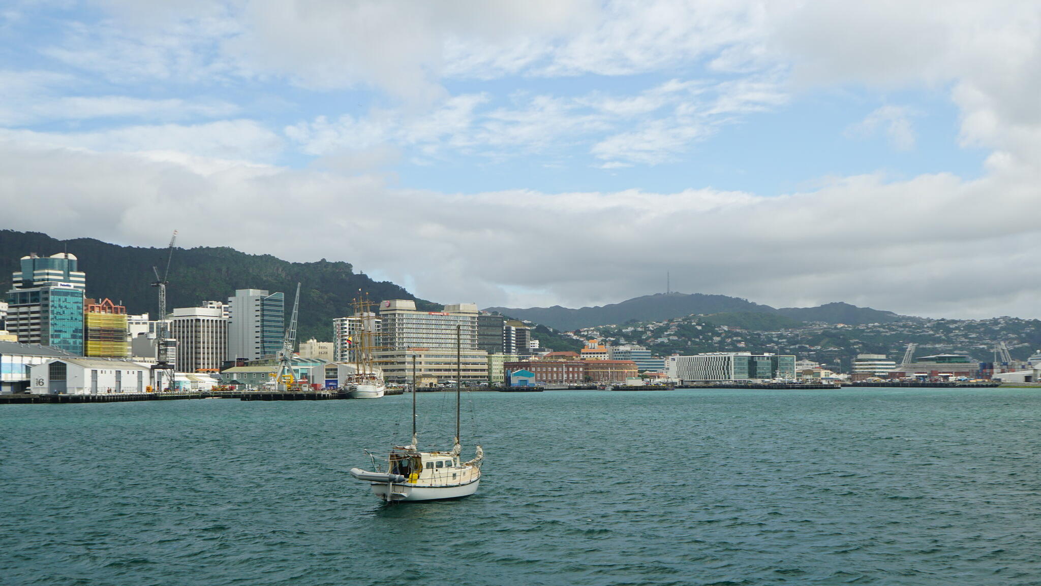 Wellington property values fall by more than 24%